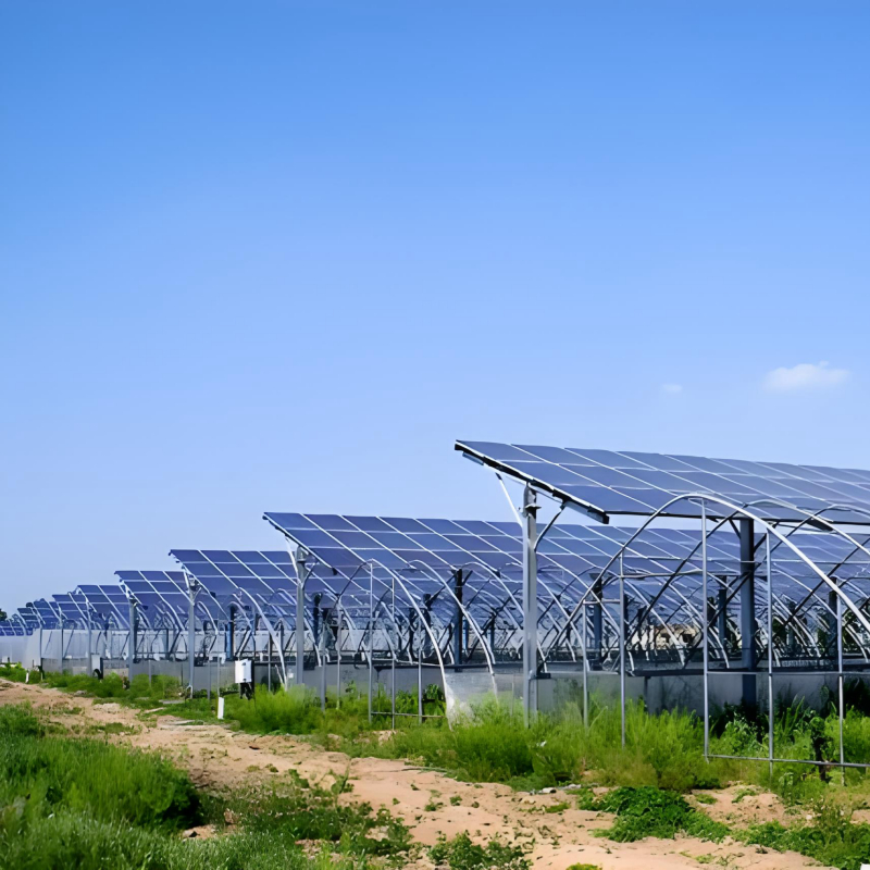 Hemat Biaya	Braket Pemasangan Surya Ground yang Dibuat untuk Proyek Skala Besar, Keandalan Tahan Lama